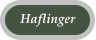 Haflinger