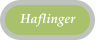 Haflinger